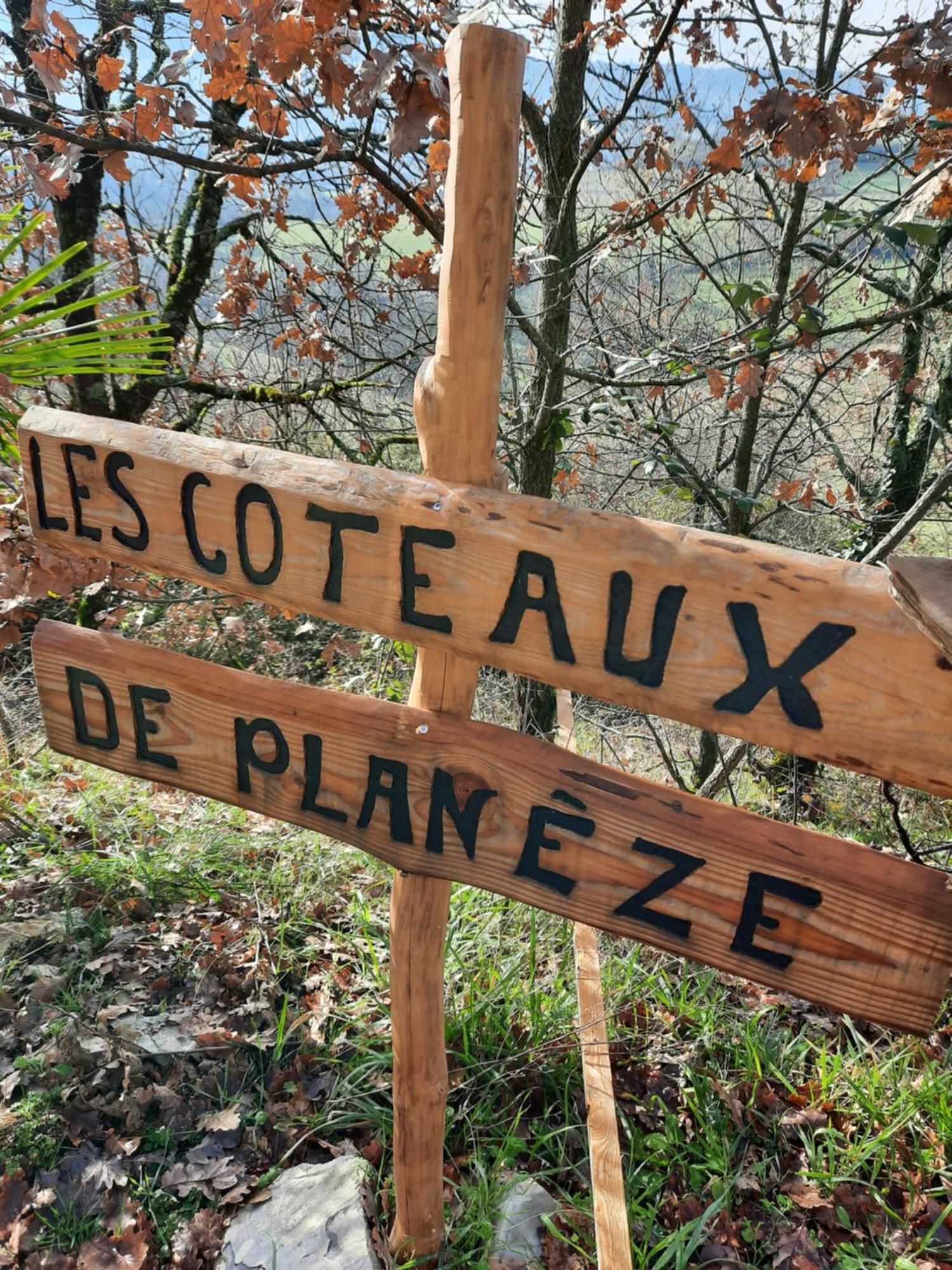 Les Coteaux De Planeze, Chambre Pour 2, 3 Ou Famille Nombreuse 2 Adultes 5 Enfants Et Jeunes Belmont-Bretenoux 외부 사진